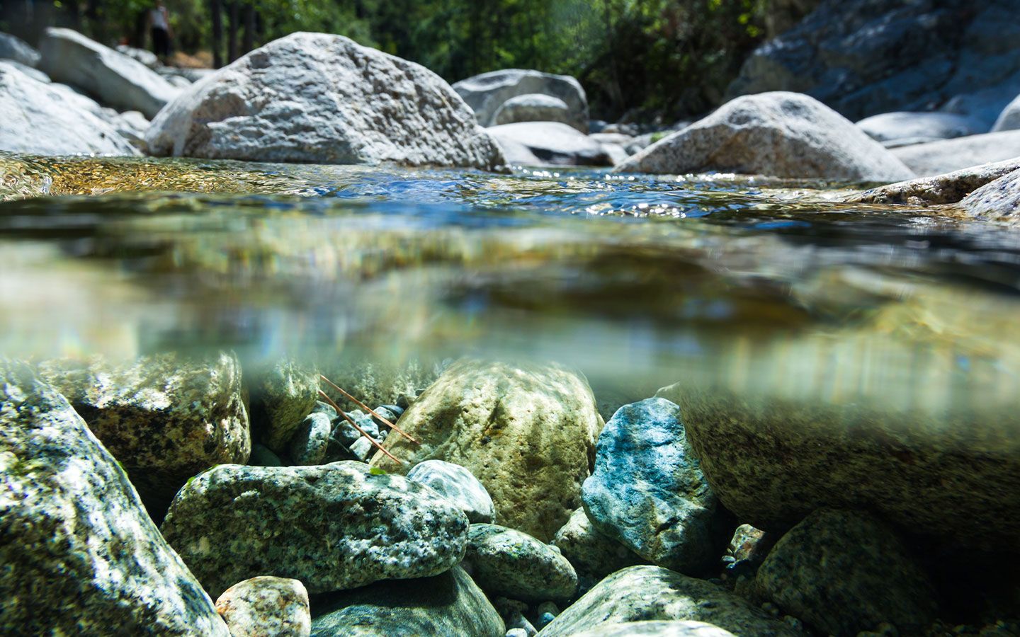 Fluss mit sauberem Wasser