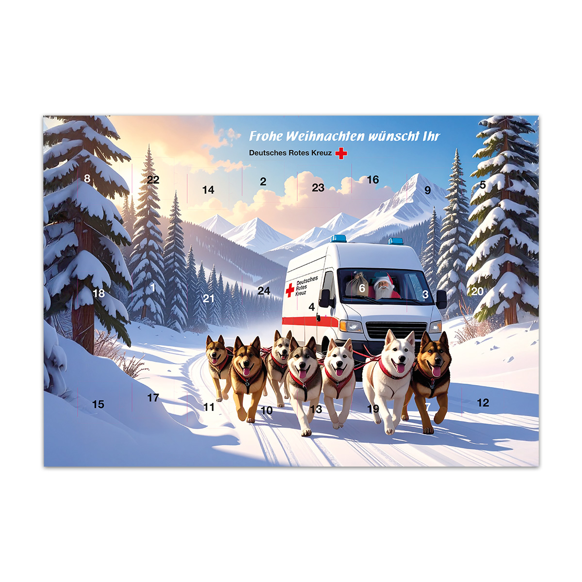 Natur, Draußen, Hund, Schnee